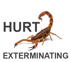 Hurt Pest Control